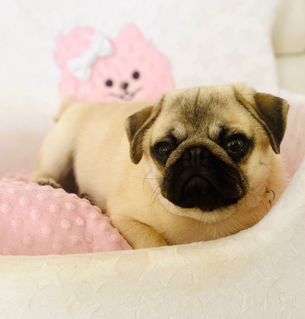 Vogue fashion beauty Of Aphrodite Childs